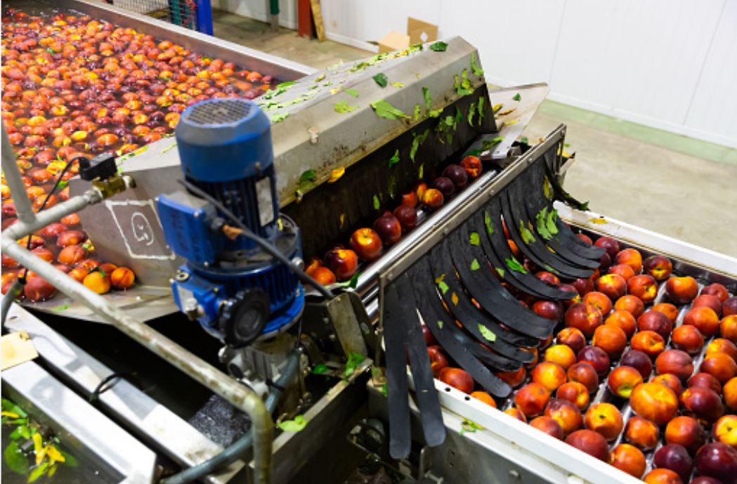 Cultivos hidropónicos con sistema automatizado